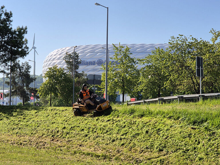 ASMulcher Allianz